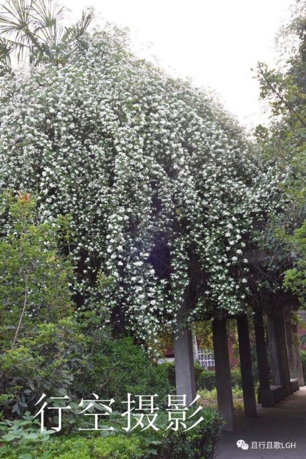 亚当寻找夏娃8